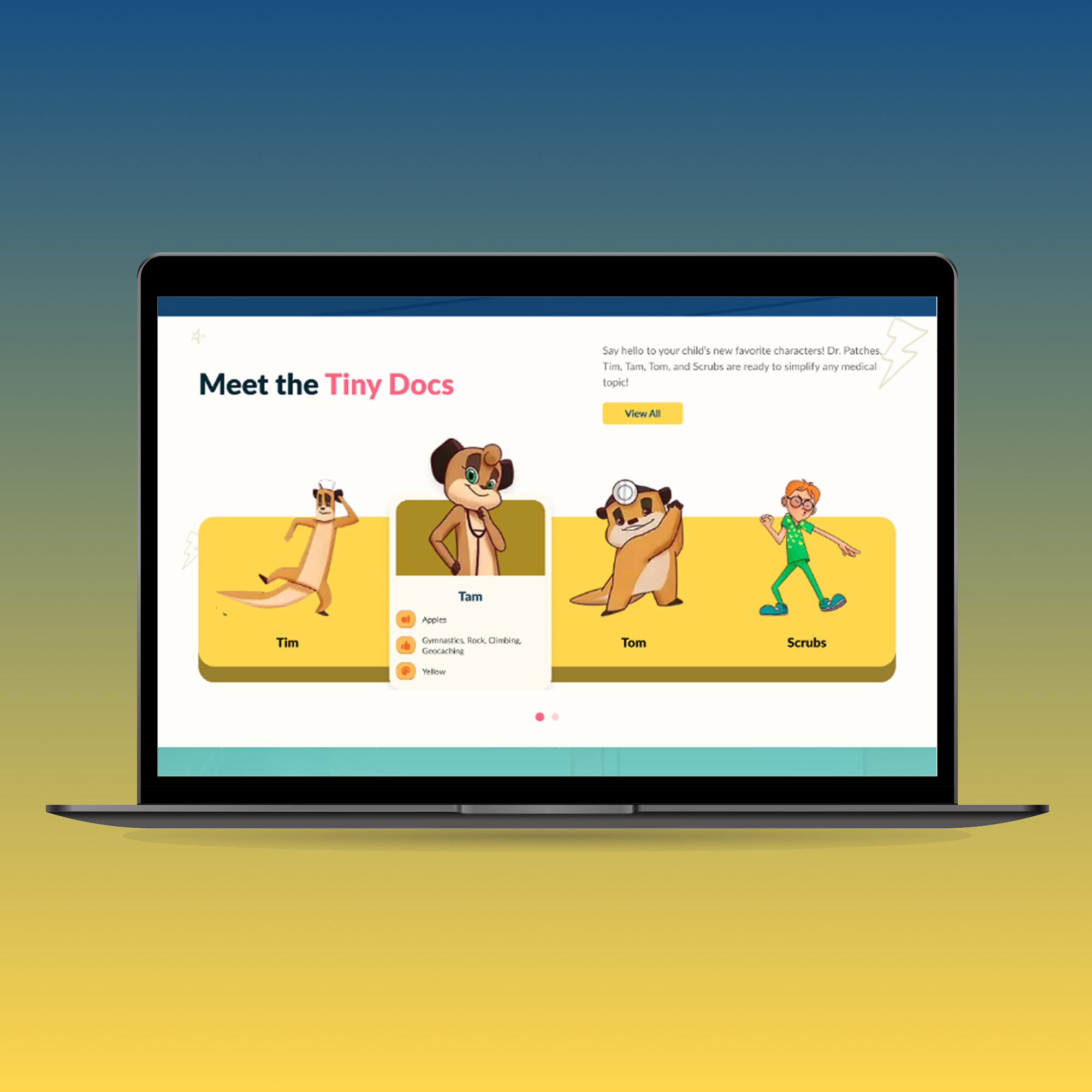 Healthcare support platform